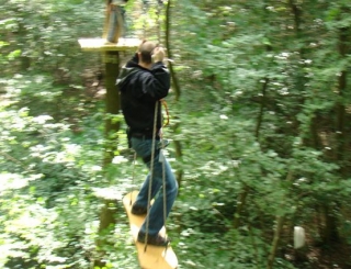 Surf dans les arbres